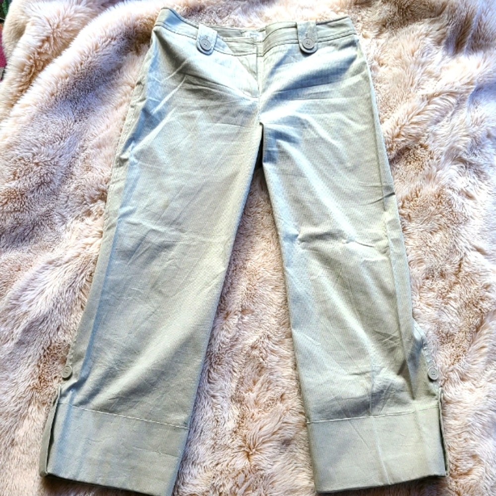 Anne Taylor Loft capri